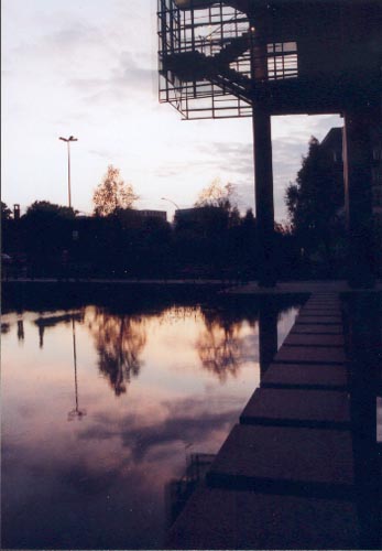 Wasserbecker in der D&auml;mmerung