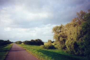 Deich