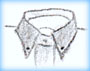 Button-Down